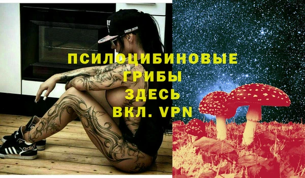 Альфа ПВП Лабытнанги